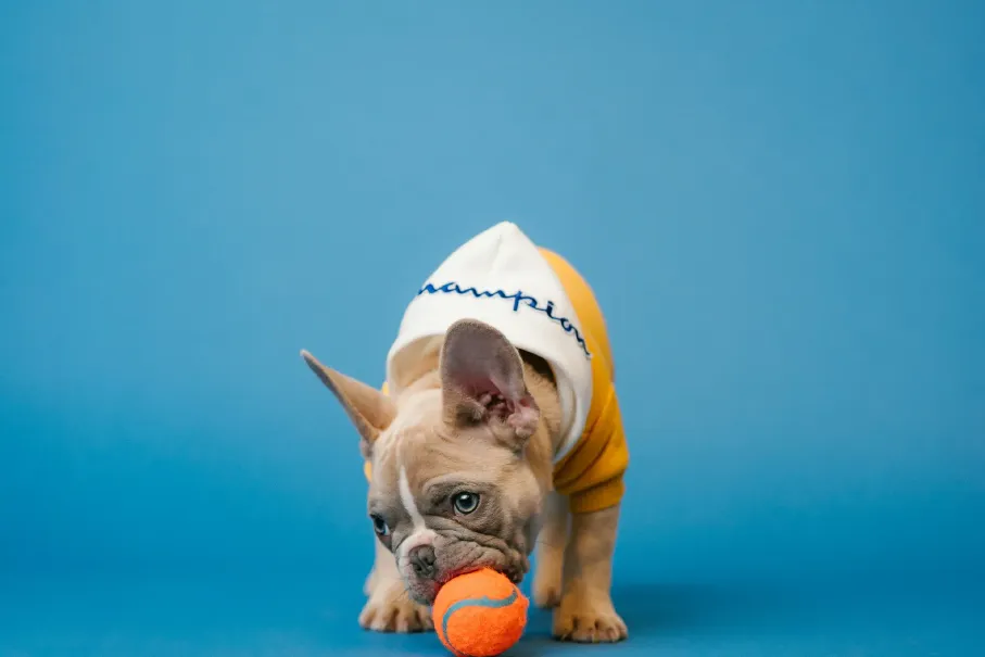 karsten-winegeart-OOqH7p_PWk0-unsplash